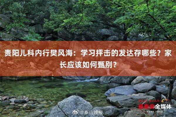 貴陽兒科內(nèi)行樊風海：學習抨擊的發(fā)達存哪些？家長應該如何甄別？